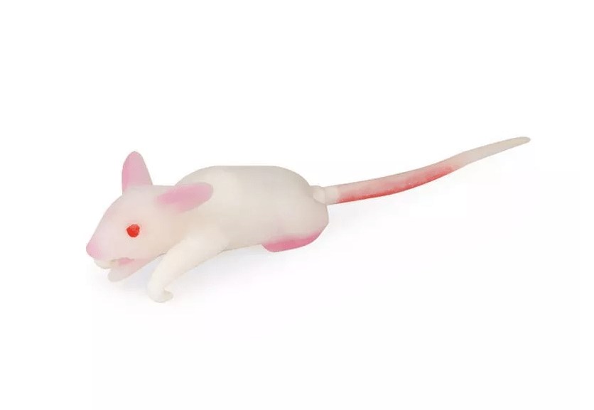 Simulationsmodell Maus - Erler - Zimmer